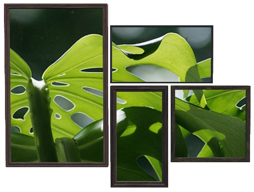 22769 - Monstera Picture Art - COMMON