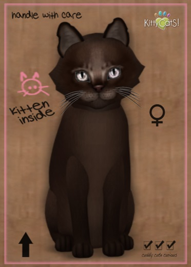 MEGAPUSS FLOOFY: KittyCatS Box - Abyssinian - Dark Chocolate - MegaPuss Floofy