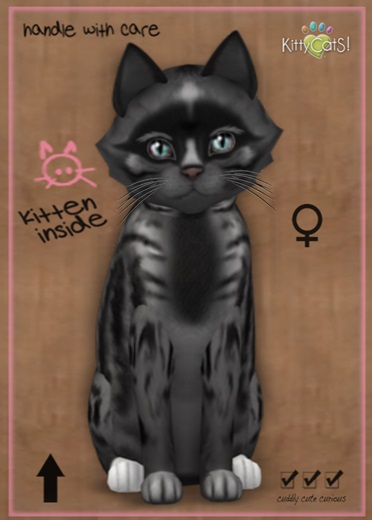 MEGAPUSS FLOOFY: KittyCatS Box - Genesis - Smokey V - MegaPuss Floofy