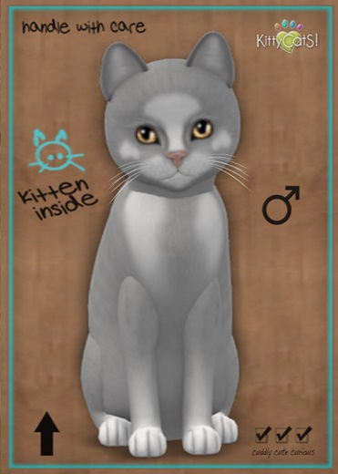 KittyCatS Box - MegaPuss