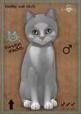 KittyCatS Box - MegaPuss