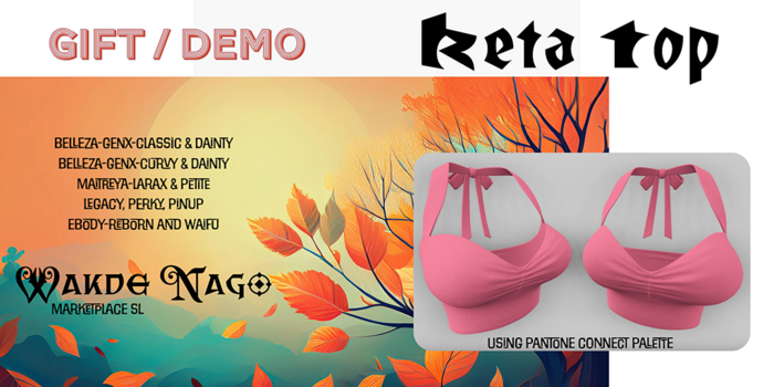 WN  Keta Top - Gift / DEMOS
