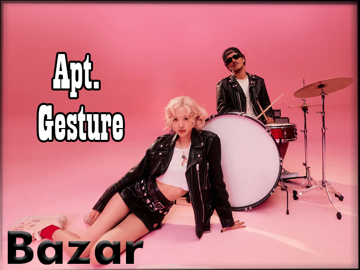 BAZAR - APT Gesture