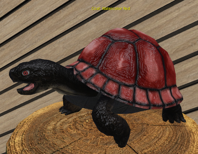 Foxtrot Box Turtle Female Large Watercolor Red