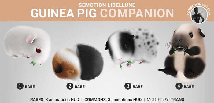 2. SEmotion Libellune Guinea Pig Companion RARE