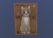 KittyCats Female Cat Kitten Genesis Mocha 2 Genesis Evergreen