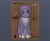 KittyCatS Female Cat Kitten Chateau Cat Dream Puff No. 1