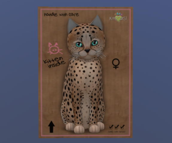 KittyCatS Female Cat Kitten Cheetah! Au Natural Galaxy Orbit