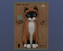 KittyCatS Male Cat Kitten Foxie Red Mask Jade