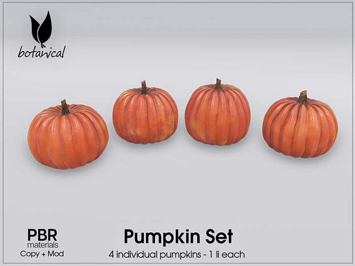 Botanical - Pumpkin Set