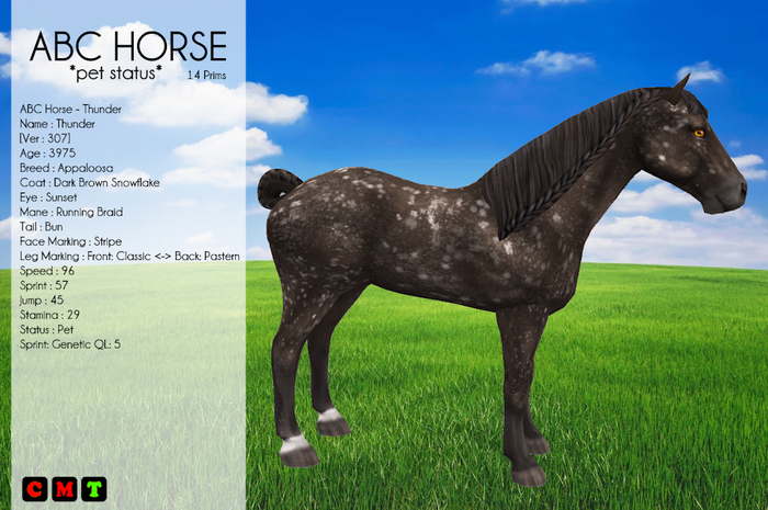 ABC Horse - Thunder *Pet Status*
