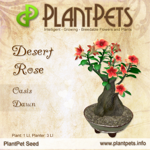 PlantPet Seed [Desert Rose *Oasis Dawn*]