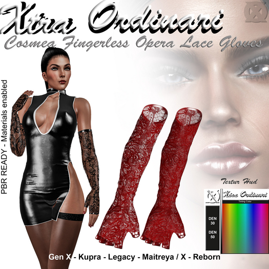 *XO* Cosmea Fingerless Opera Lace Gloves