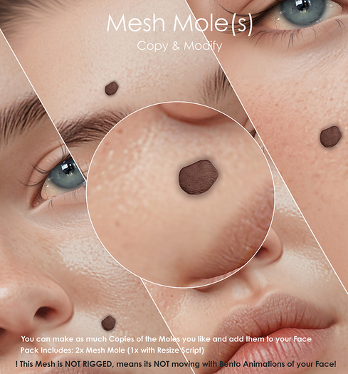 DeeTaleZ *MESH*  Beauty Mole 