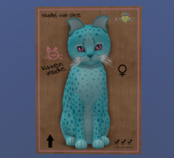KittyCatS Female Cat Kitten Cheetah! Blue Raspberry Pink Ice
