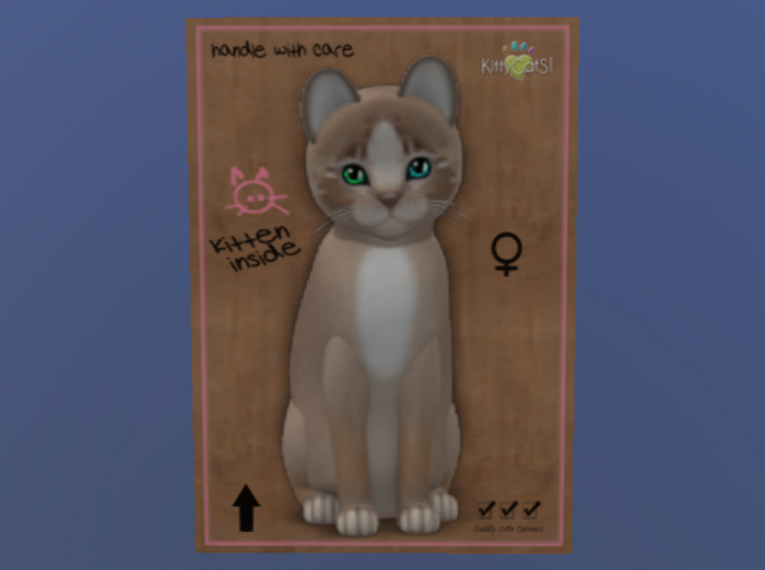 KittyCatS Female Cat Kitten Genesis Mocha 2 Odyssey 2