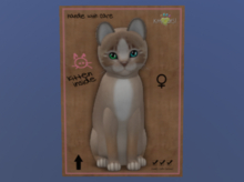 KittyCatS Female Cat Kitten Genesis Mocha 2 Odyssey 2