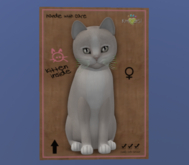 KittyCatS Female Cat Kitten Genesis Pearl 2 Brushed Steel