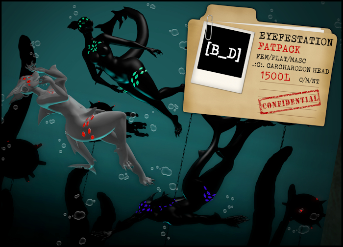 [B_D] EYEFESTATION (FATPACK)
