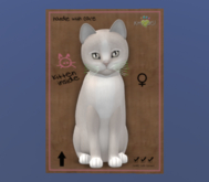 KittyCatS Female Cat Kitten Genesis Pearl 2 Brushed Steel