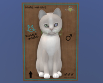 KittyCatS Male Cat Kitten Genesis Pearl 2 Odyssey Tuscan Dream