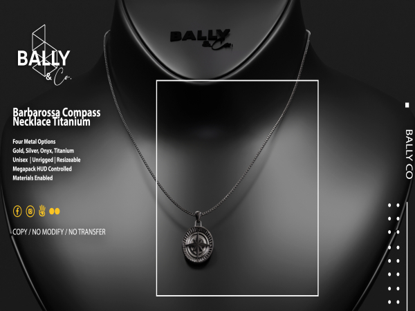 'BALLY & CO'  Barbarossa Compass Titanium