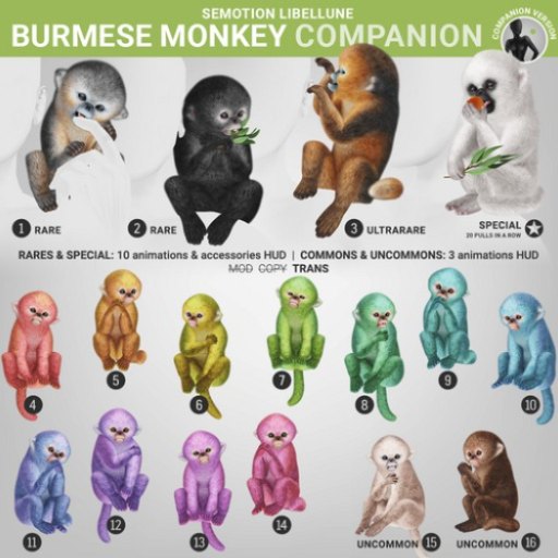 SEmotion Libellune Burmese Monkey Companion COMMON 10