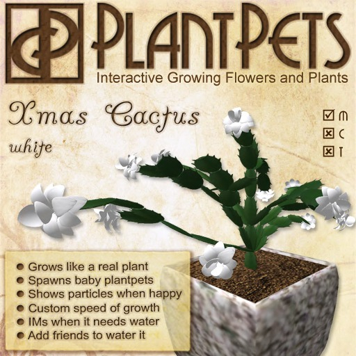 PlantPet Seed [Xmas Cactus *White*]