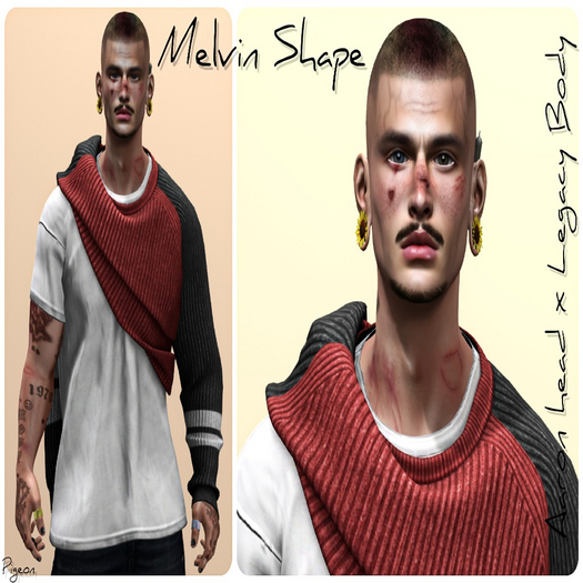 *PIGEON* Melvin Shape