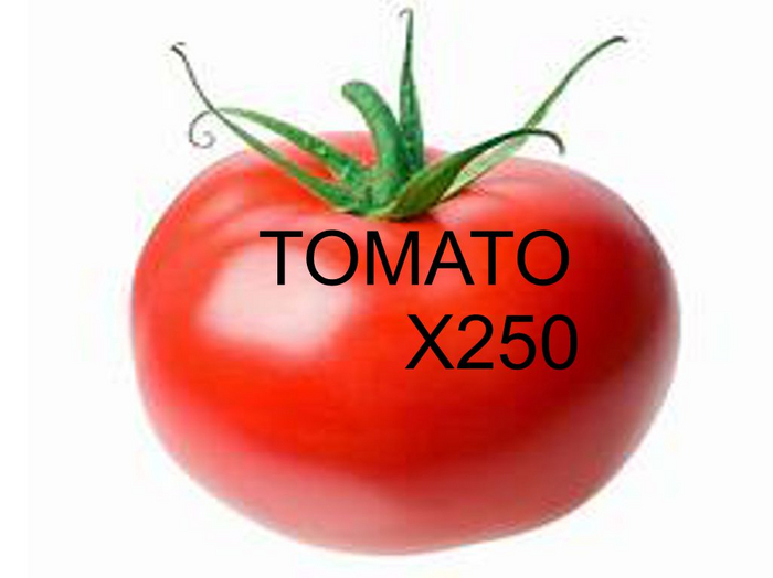 MyStory Tomato x 250