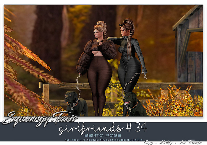 SYNNERGY DISCOUNT//Girlfriends #34 Bento Pose  