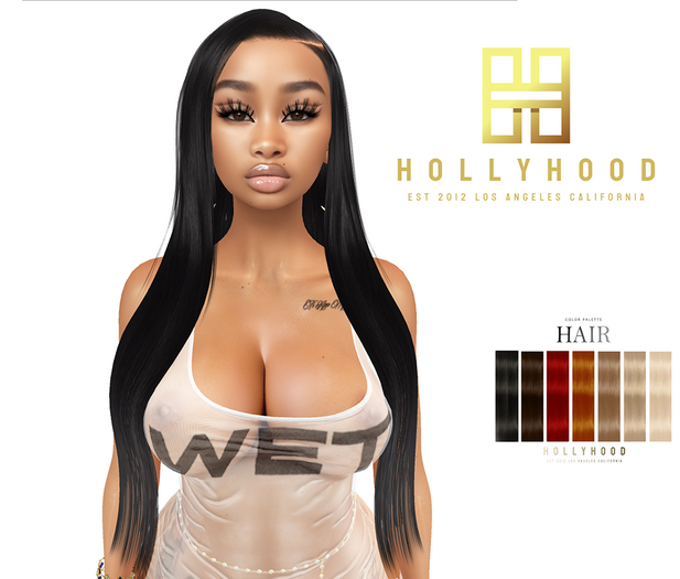 DEMO Hollyhood Hair - 40 in Buss Down Side Part