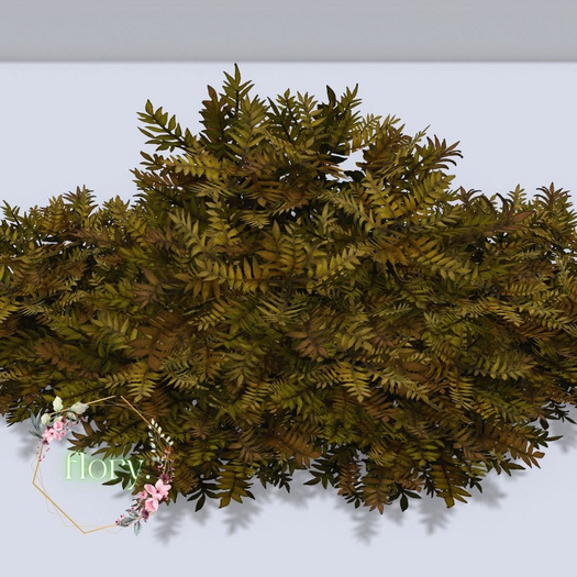 flory. - Autumn Woods Bush