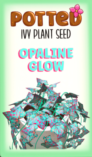 Potted: Ivy Plant Seed: Opaline Glow