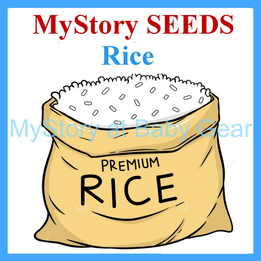 TEXTURE Seeds - Rice [MyStory} 1