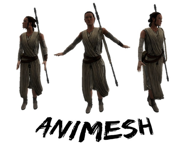 Rey Skywalker Animesh - Li 40
