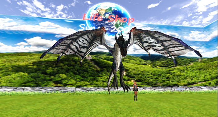 Dragon Animesh - Li 35