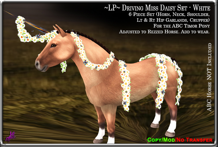 ~LP~ Driving Miss Daisy Set [BOXED] ABC Timor White