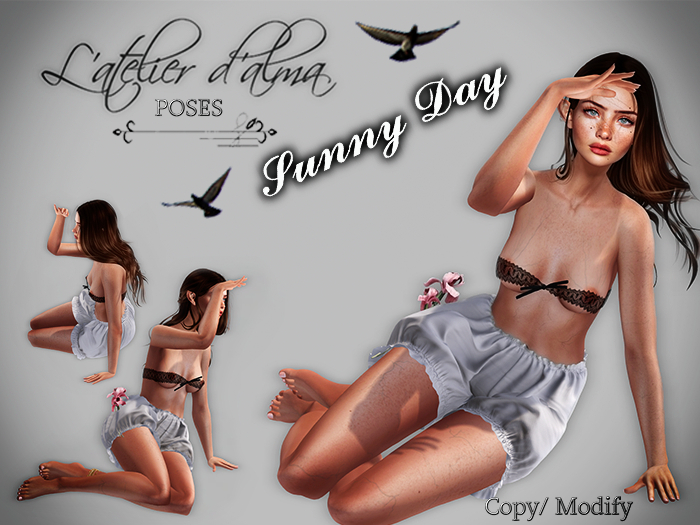 L'Atelier d'Alma Poses - Sunny Day (bento)