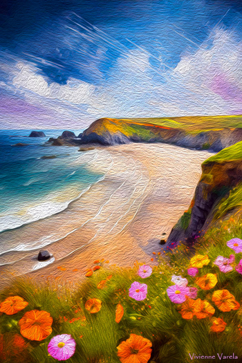 North Cornwall Coast