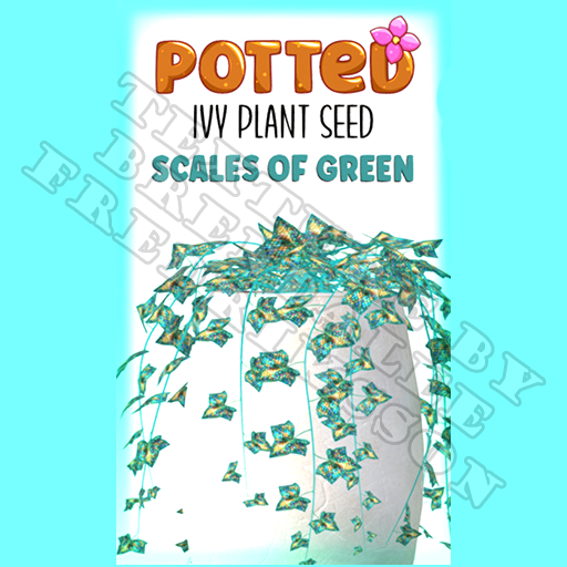 Potted: Ivy Plant Seed: Scales of Green (ACTUAL PLANT SEED)