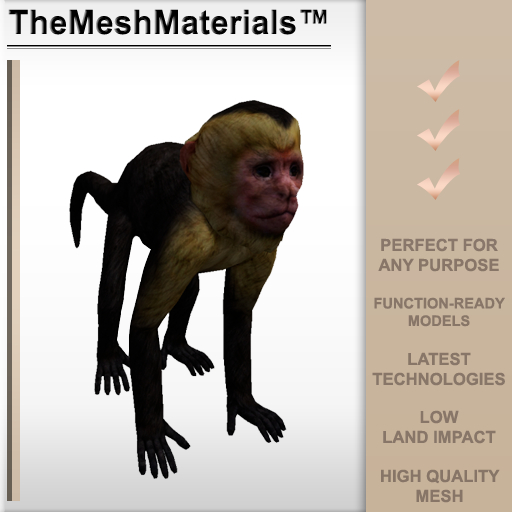 The Mesh Materials - Monkey