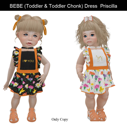 BEBE (Toddler & Toddler Chonk) Dress  Priscilla Demo