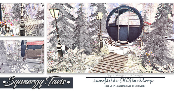 SYNNERGY.TAVIS//Snowfields {360} Backdrop