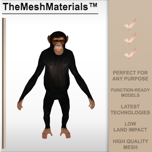 The Mesh Materials - Chimp