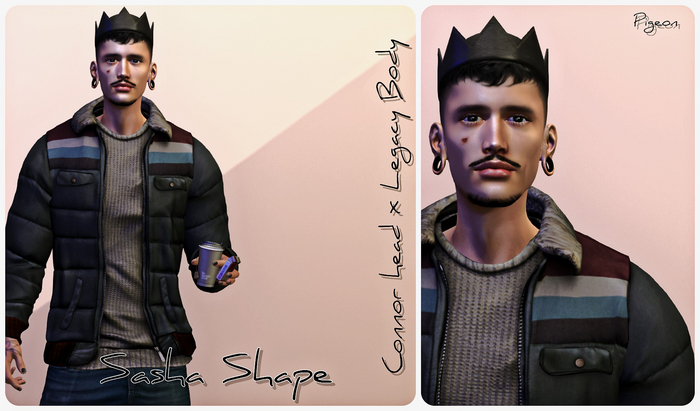 *PIGEON* Sasha Shape