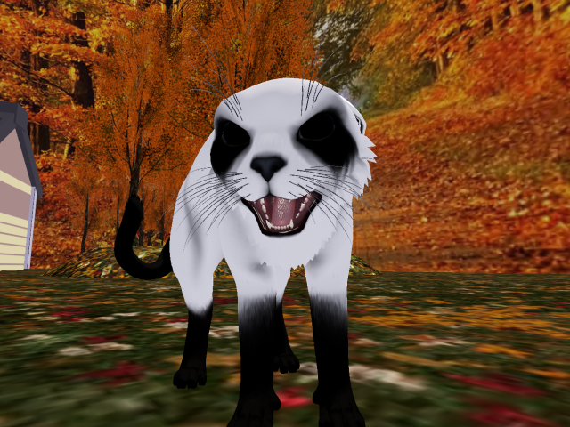 NOODLEMOD - Crying Ghost- Wildcat [BOXED]