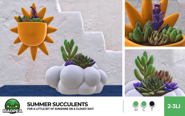 MadPea Summer Succulents