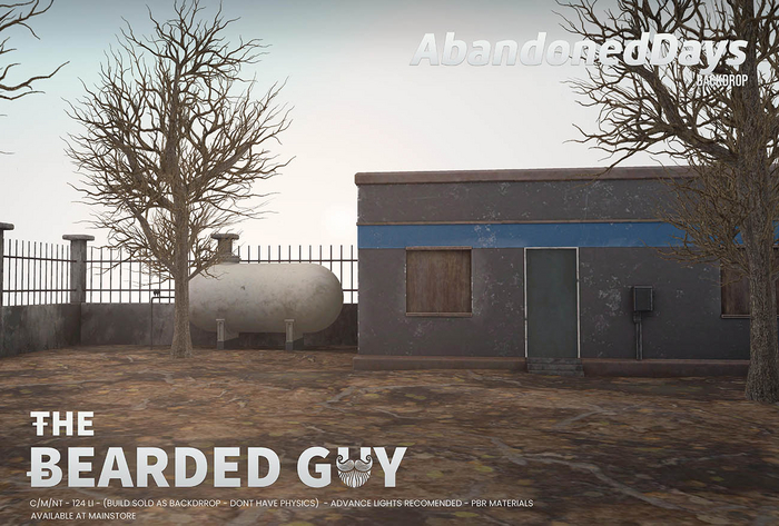 Abandoned Days Backdrop - The Bearded Guy