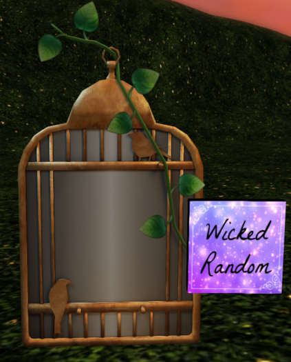 Gacha Cage mirror - RARE